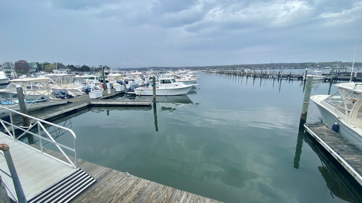 Boat Industry Booming During Pandemic NBC Connecticut