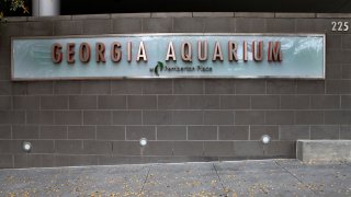 Georgia Aquarium