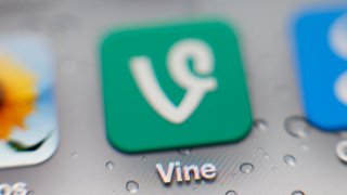 Vine iPhone mobile app icon