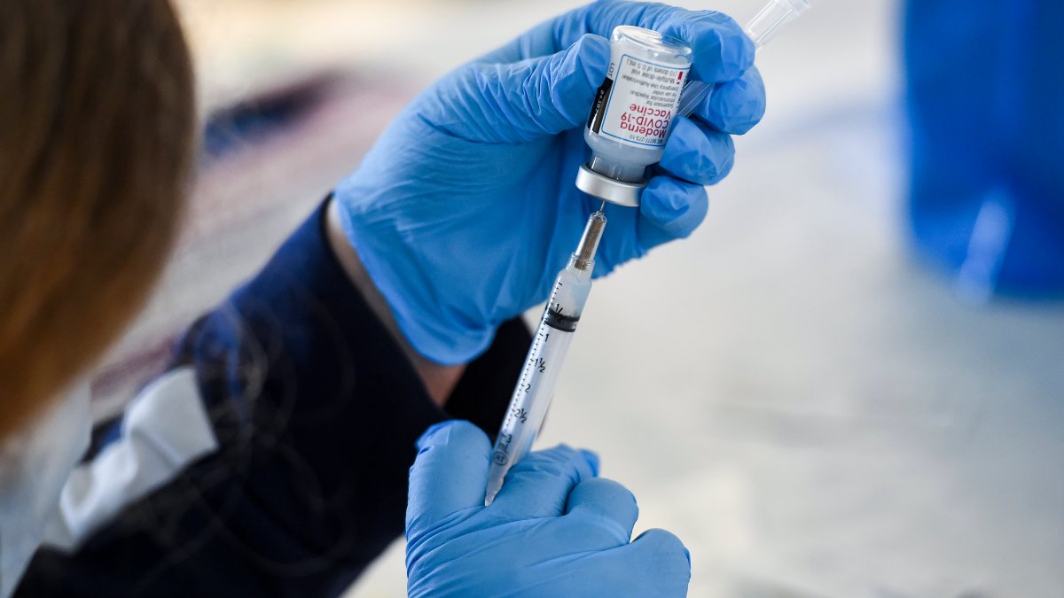 Connecticut Becomes First State to Vaccinate More Than 70% of Adults – NBC  Connecticut