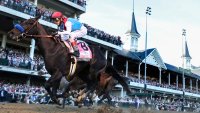 Churchill Downs Suspends Racing to Examine Protocols Following 12 Horse Deaths