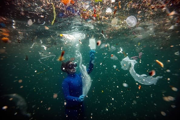 'Most Important Climate Deal Since Paris': UN Agrees Treaty to End Scourge of Plastic Pollution – NBC Connecticut - Vimarsana News