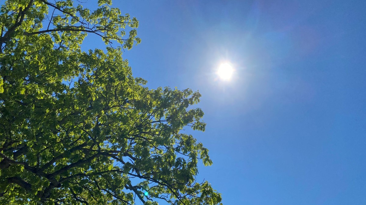 Gov. Ned Lamont declares Stage 2 drought advisory for multiple counties