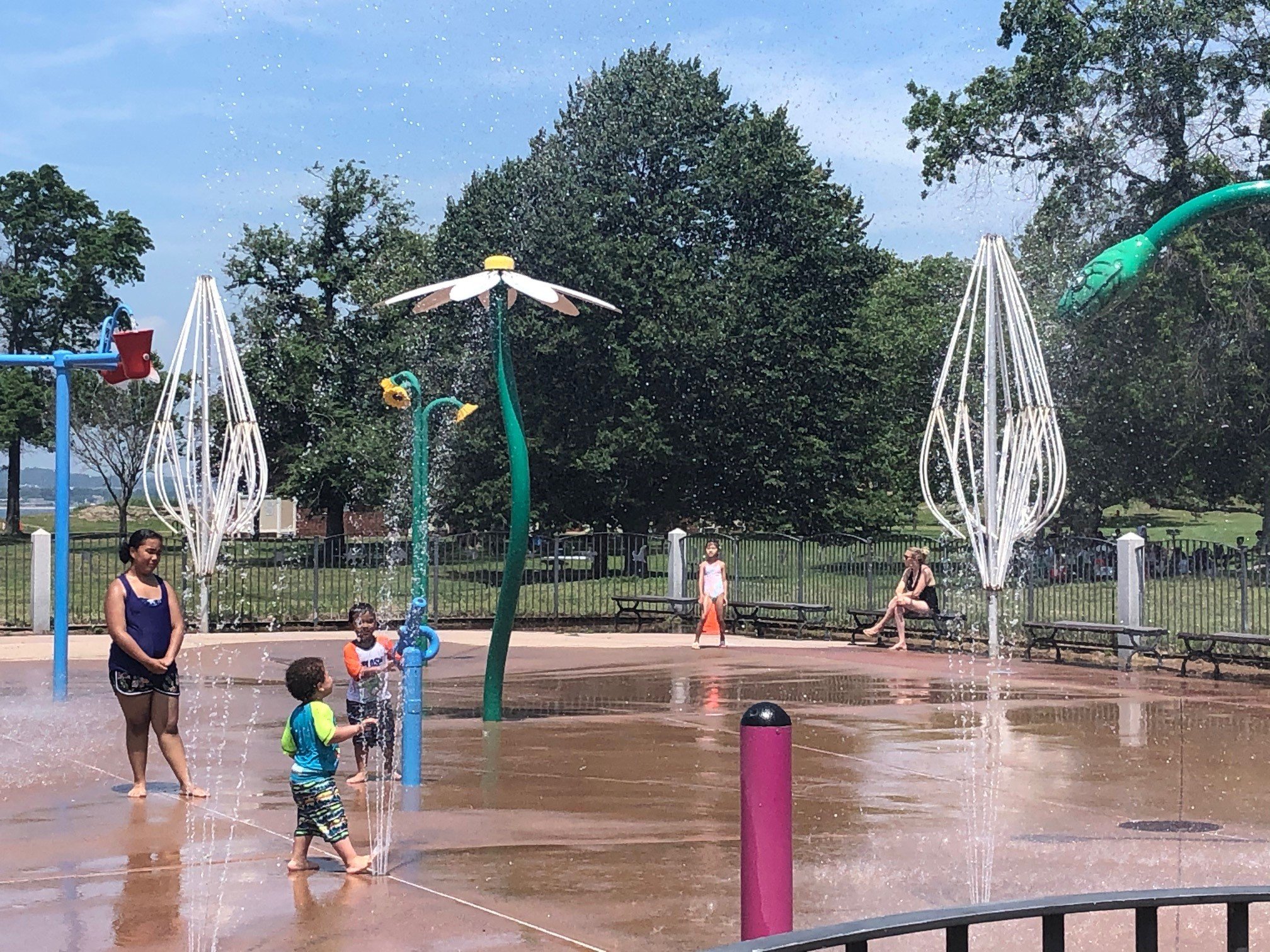 New Haven Summer Camps Off to a Sizzling Start - Vimarsana News