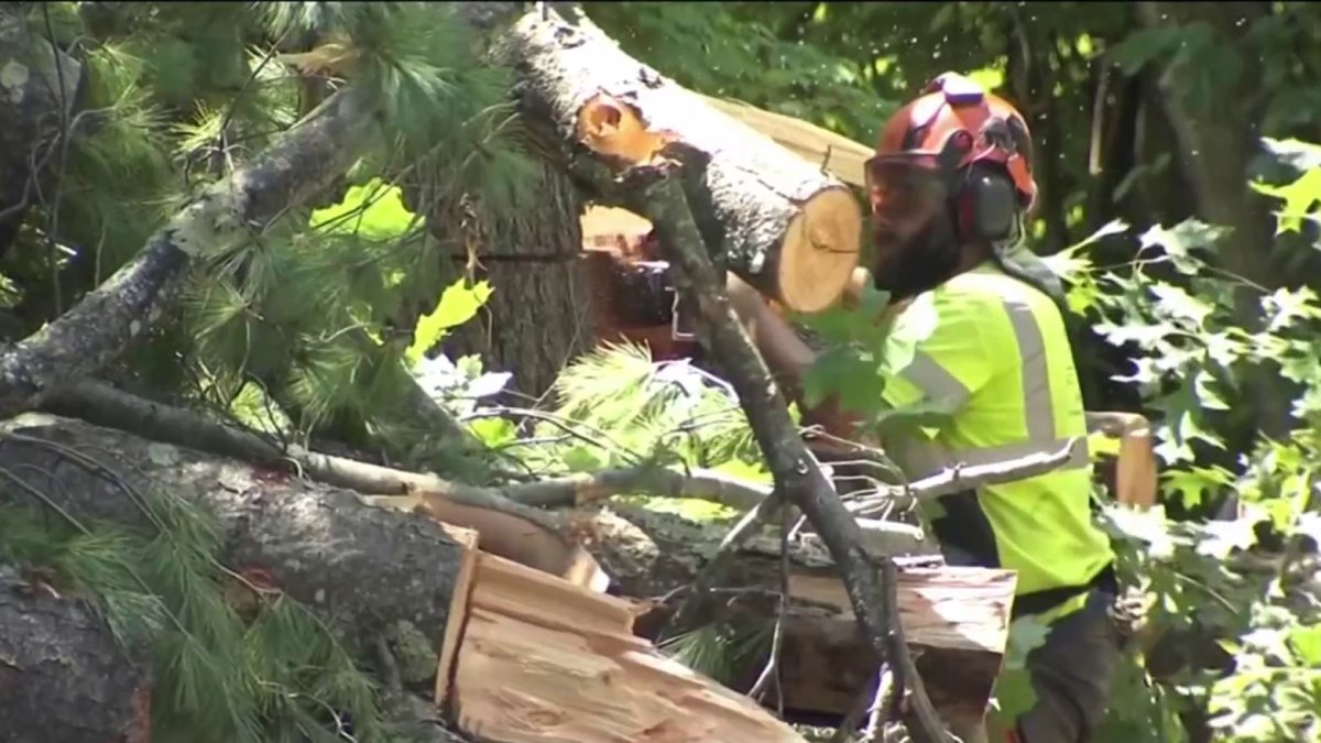 Andover Trimming Trees to Help Keep Power On During Big Storms NBC