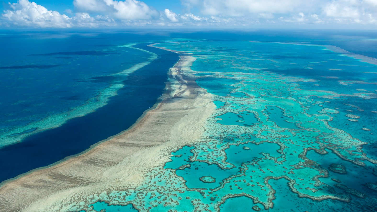 Australia Avoids UNESCO Downgrade of Great Barrier Reef – NBC Connecticut