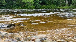 Farmington River in Burlington