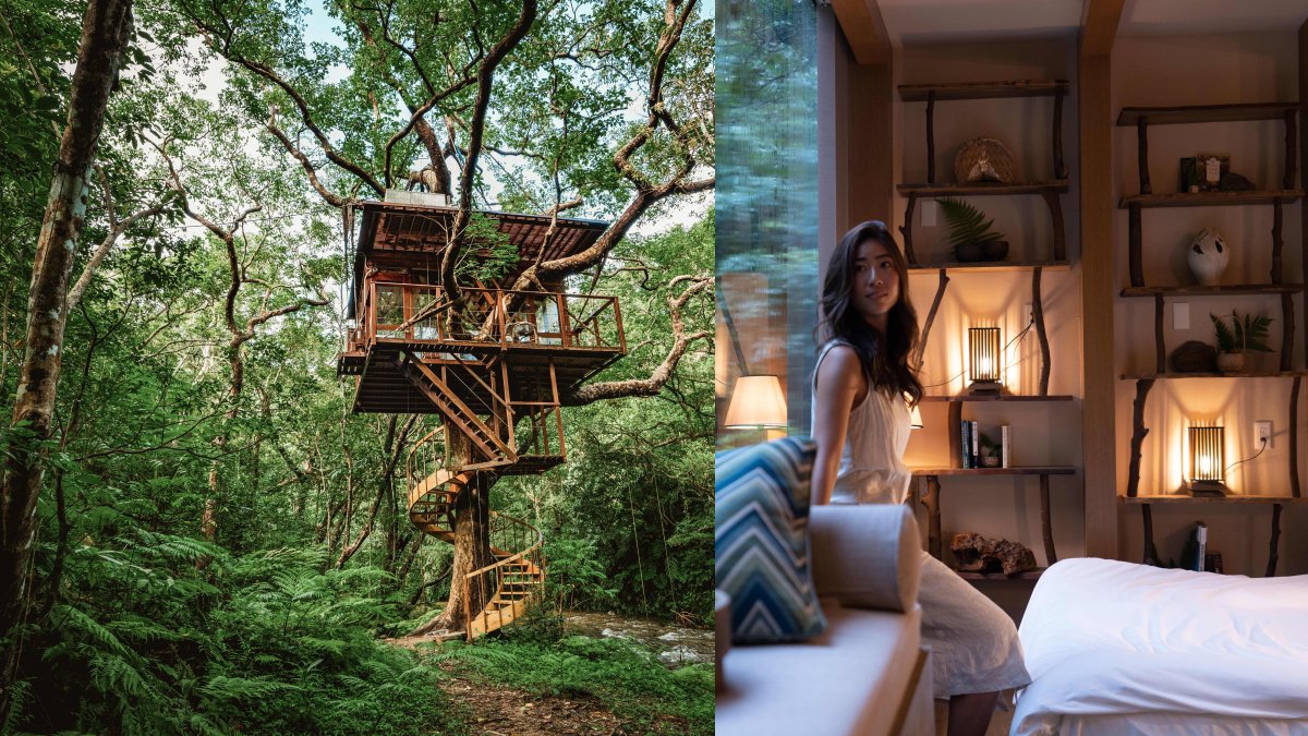 Treehouses Are Getting Booked by Wealthy Travelers — and the Photos Show Why - Vimarsana News