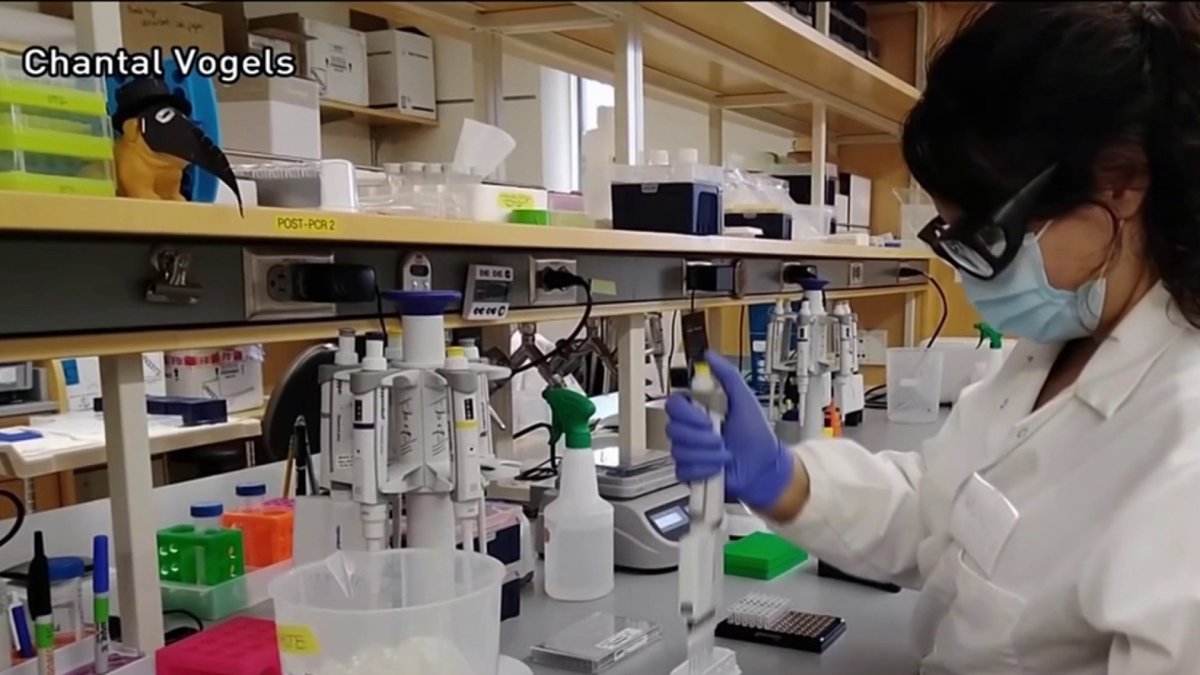 Yale Researchers Tracking COVID Variants NBC Connecticut