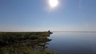 the shoreline of Bay Jimmy