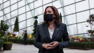 U.S. Vice President Kamala Harris takes questions from media as she visits the Flower Dome at Gardens by the Bay, following her foreign policy speech, in Singapore Tuesday, Aug. 24, 2021.