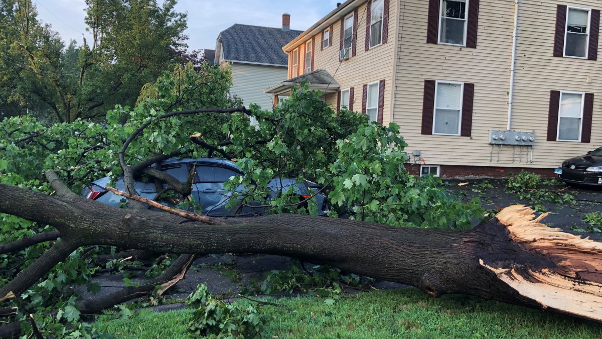 Storm Damage Extensive on Burns Avenue in Enfield – NBC Connecticut