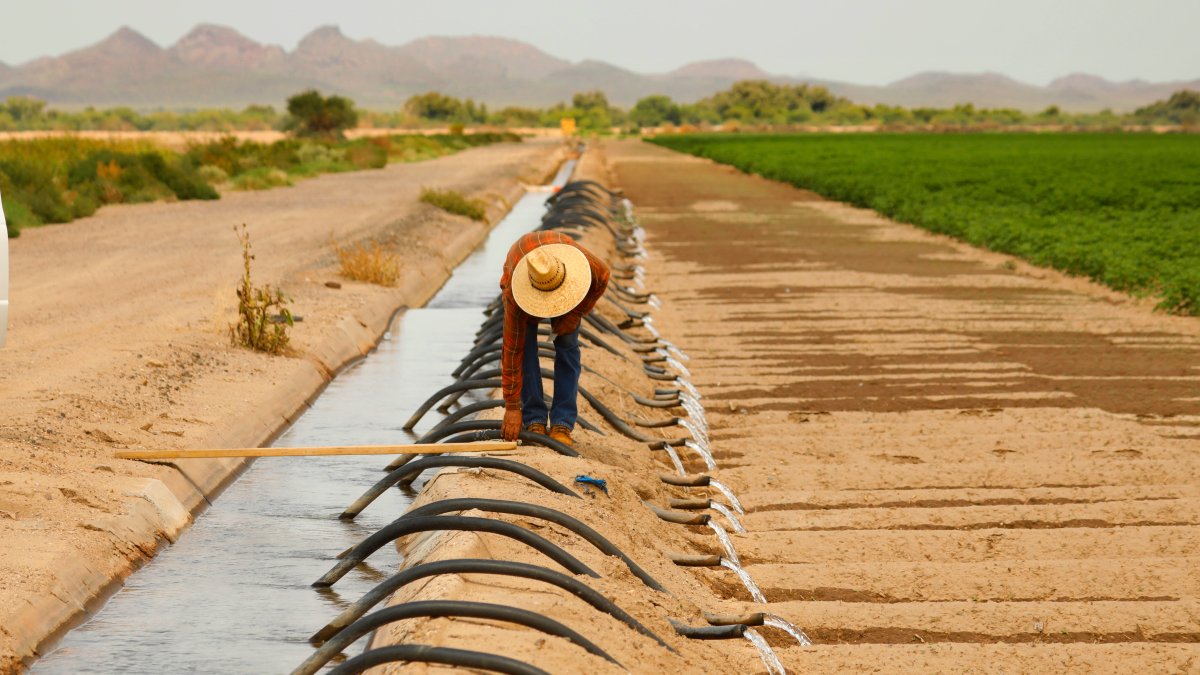 First Required Water Supply Cuts in US West to Hit Ariz. Farmers – NBC Connecticut - Vimarsana News