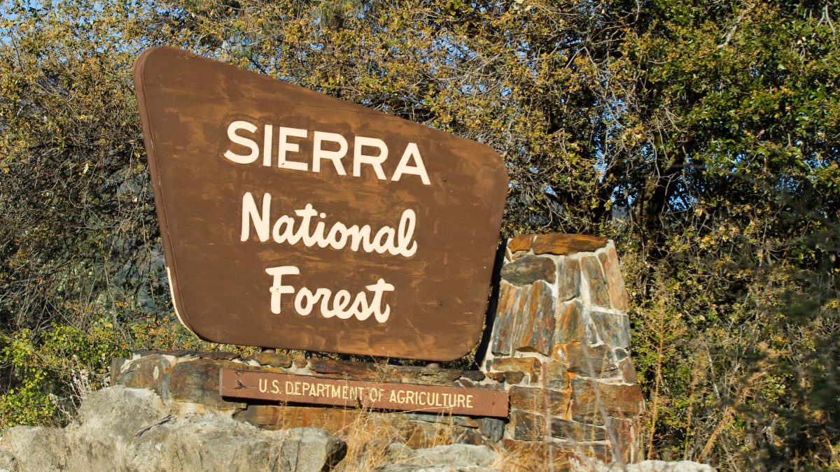 Mariposa Sheriff to Announce What Killed California Family on Hike – NBC Connecticut - Vimarsana News
