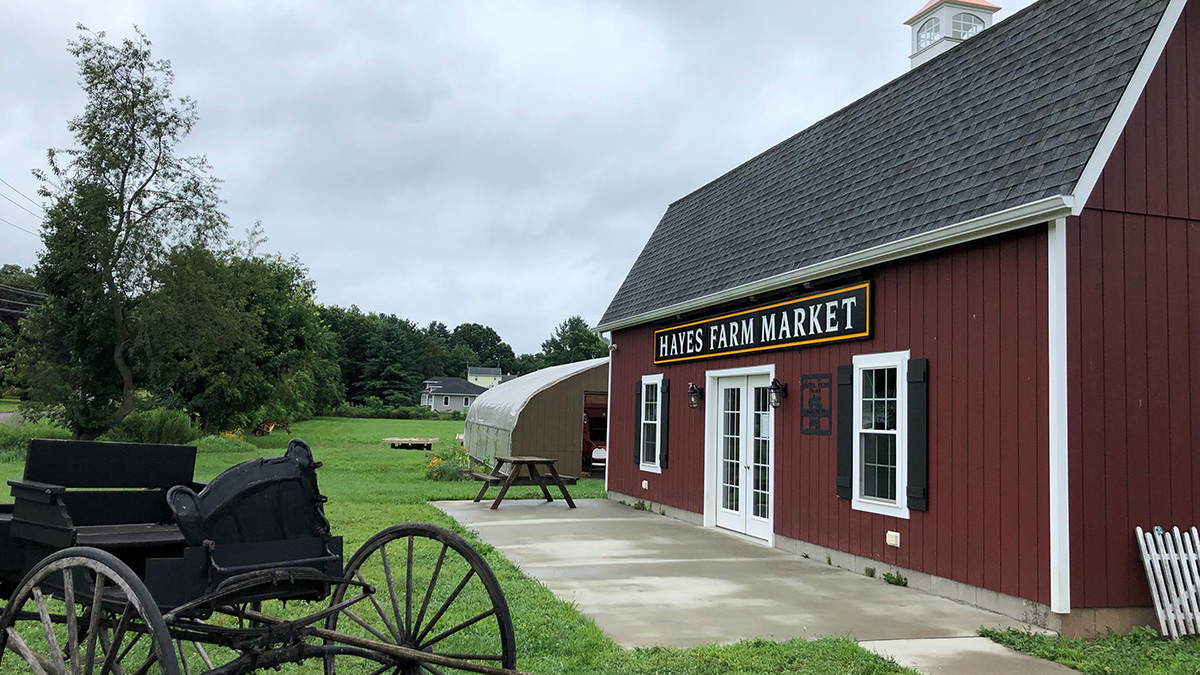 Governor Lamont Asks for Federal Help for Farmers After Tropical Storm
