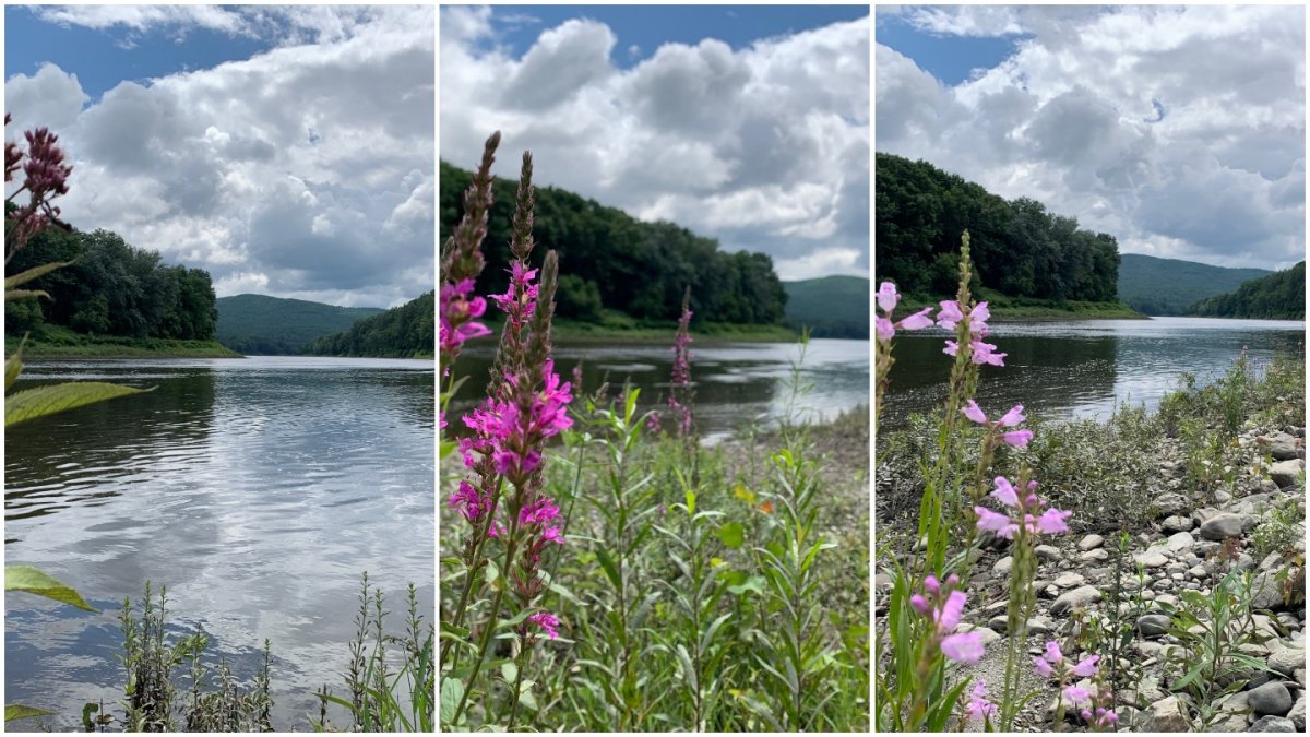 Connecticut River Water Quality Safety Tool NBC Connecticut