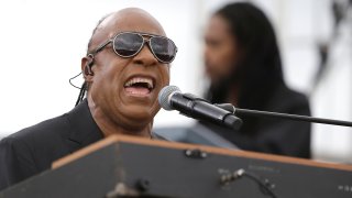 Stevie Wonder performs