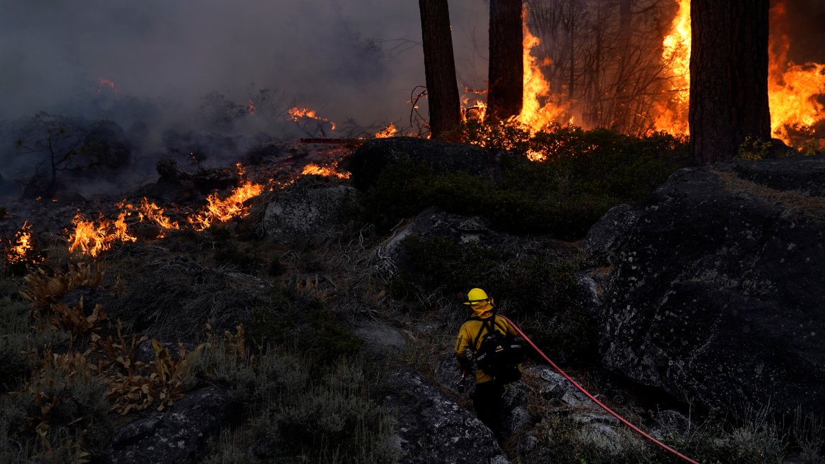US to Bolster Firefighter Ranks as Wildfires Burn Year-Round - Vimarsana News