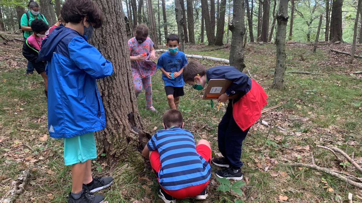 Students Became Scientists at the Talcott Mountain Science Center