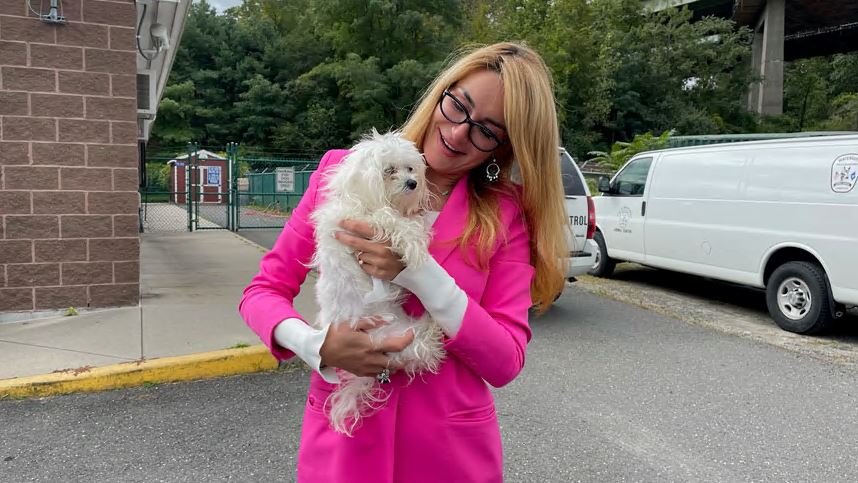 Stolen Dog Reunited With Owners After More Than 7 Months - Vimarsana News