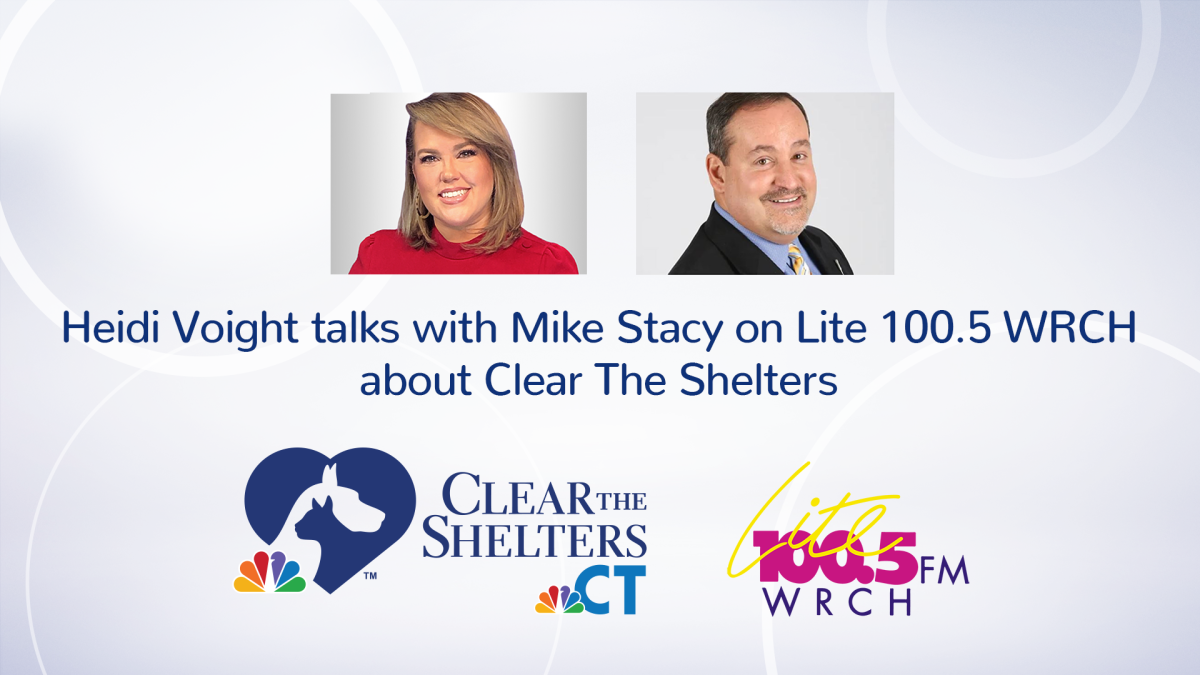 Heidi Voight Talks With Mike Stacy on Lite 100.5 WRCH About Clear The  Shelters