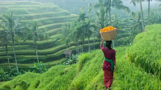 Vaccinated travelers from 19 countries can now enter Bali and Indonesia’s Riau Islands.
