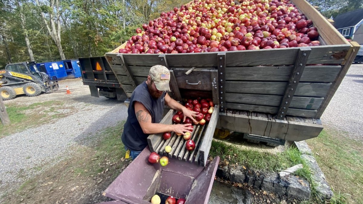 Connecticut Businesses Get Ready for Busy Fall Weekend - Vimarsana News