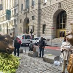 harambe wall street