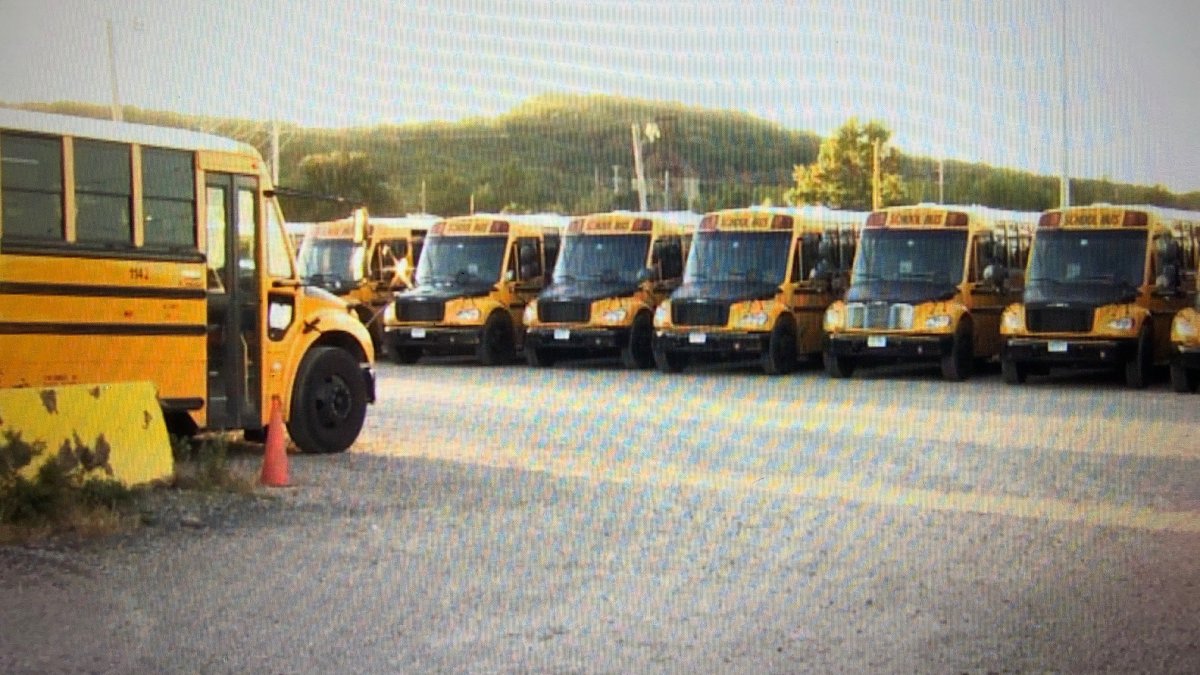 amid-school-bus-frustrations-new-haven-sees-small-signs-of-improvement