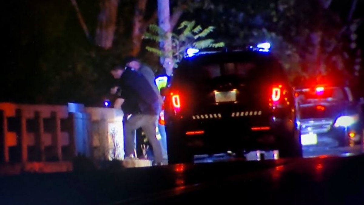 Man Falls Off Overpass, Gets Fatally Struck by Vehicle on Route 15 in