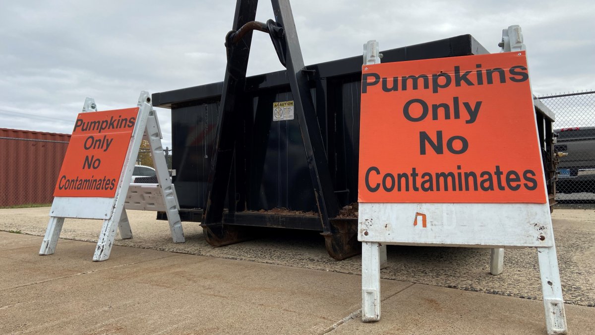 Pumpkin Recycling Program in West Hartford Aims To Cut Down Pollution