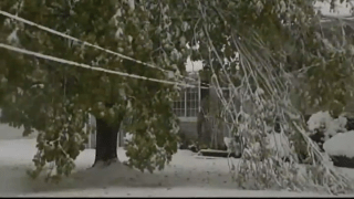 A photo from the 2011 October snowstorm.