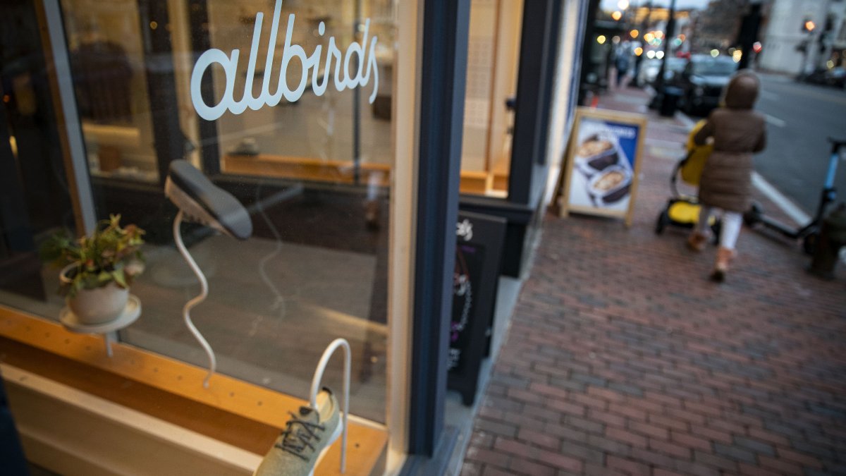 In Allbirds, Wall Street Begins to Build the Bull and Bear Case for an ESG-Branded Stock - Vimarsana News