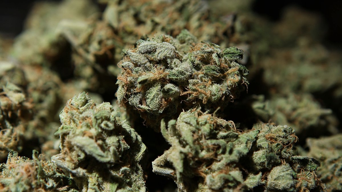 Connecticut Gears Up For Cannabis Home Delivery - Vimarsana News