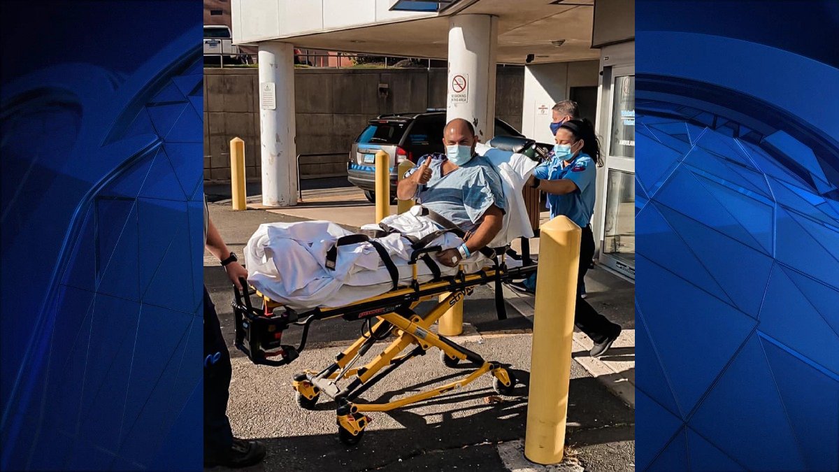 Police Officer Released From Hospital After Being Hit By Car in ...