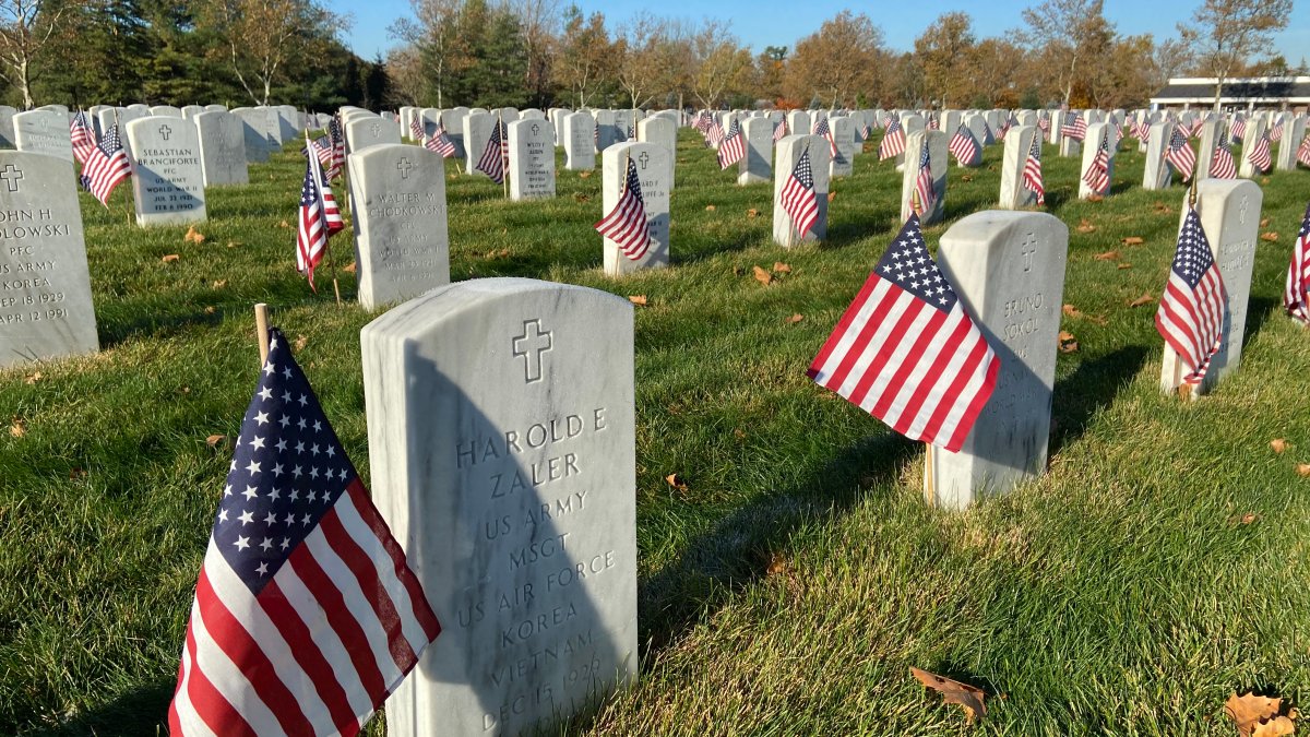 Veterans Honored With 14,000 Flags At State Cemetery - Vimarsana News