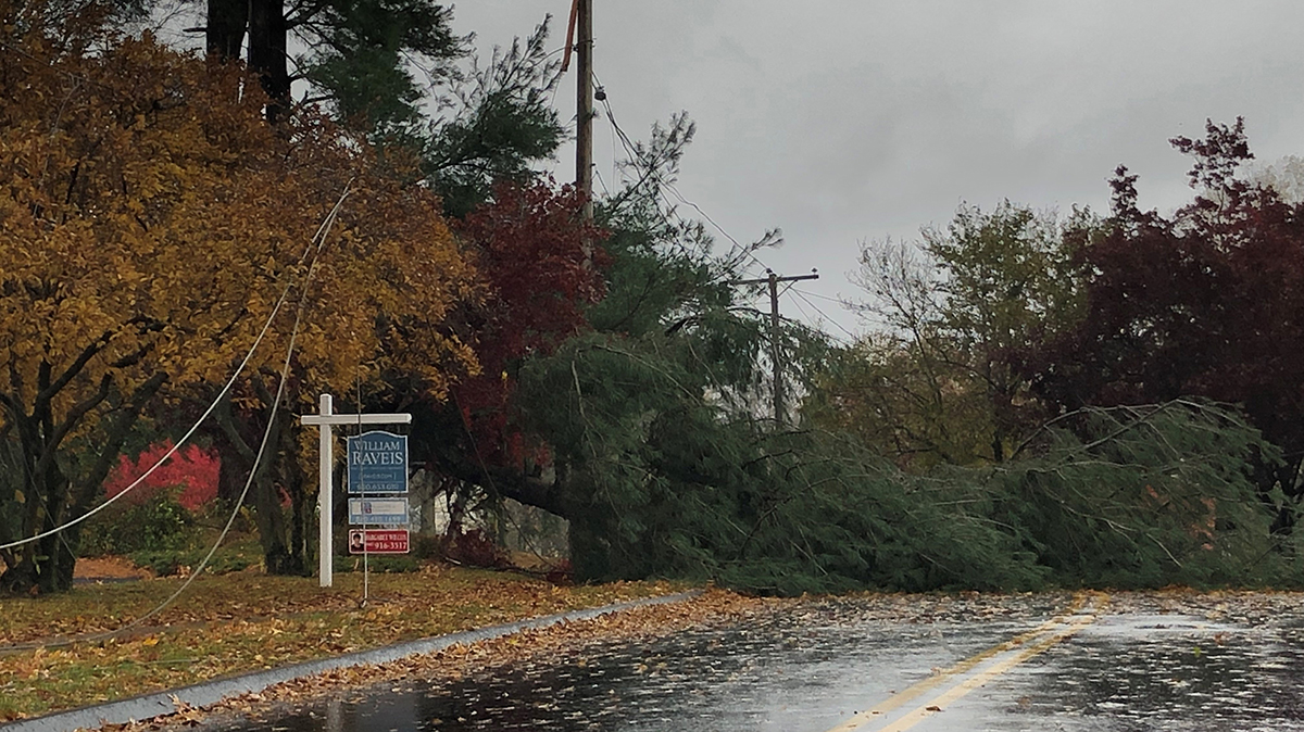 8P UPDATE: Power Out For 2,500, Storm Damage Reported In Parts Of CT ...