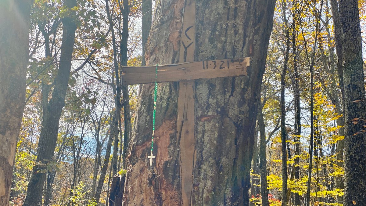 Community Remembers East Haddam Teen Killed in Car Crash - Vimarsana News