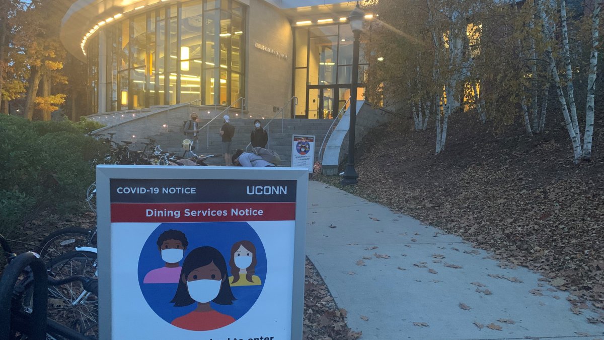 UConn Student Groups Band Together to Fight Food Insecurity Across All