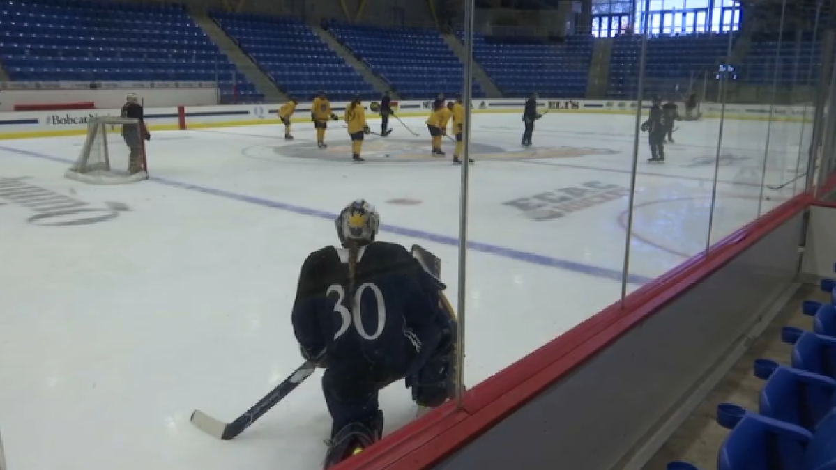 Quinnipiac Women’s Hockey Off to ProgramBest Unbeaten Start NBC Connecticut