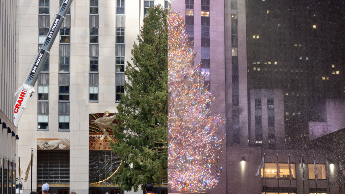 Here's How to Watch the 2021 Center Christmas Tree – NBC