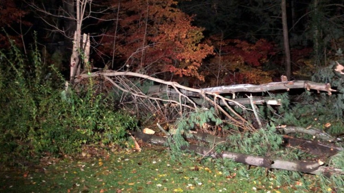 3 Tornadoes Likely Touched Down Across Connecticut on Saturday – NBC ...