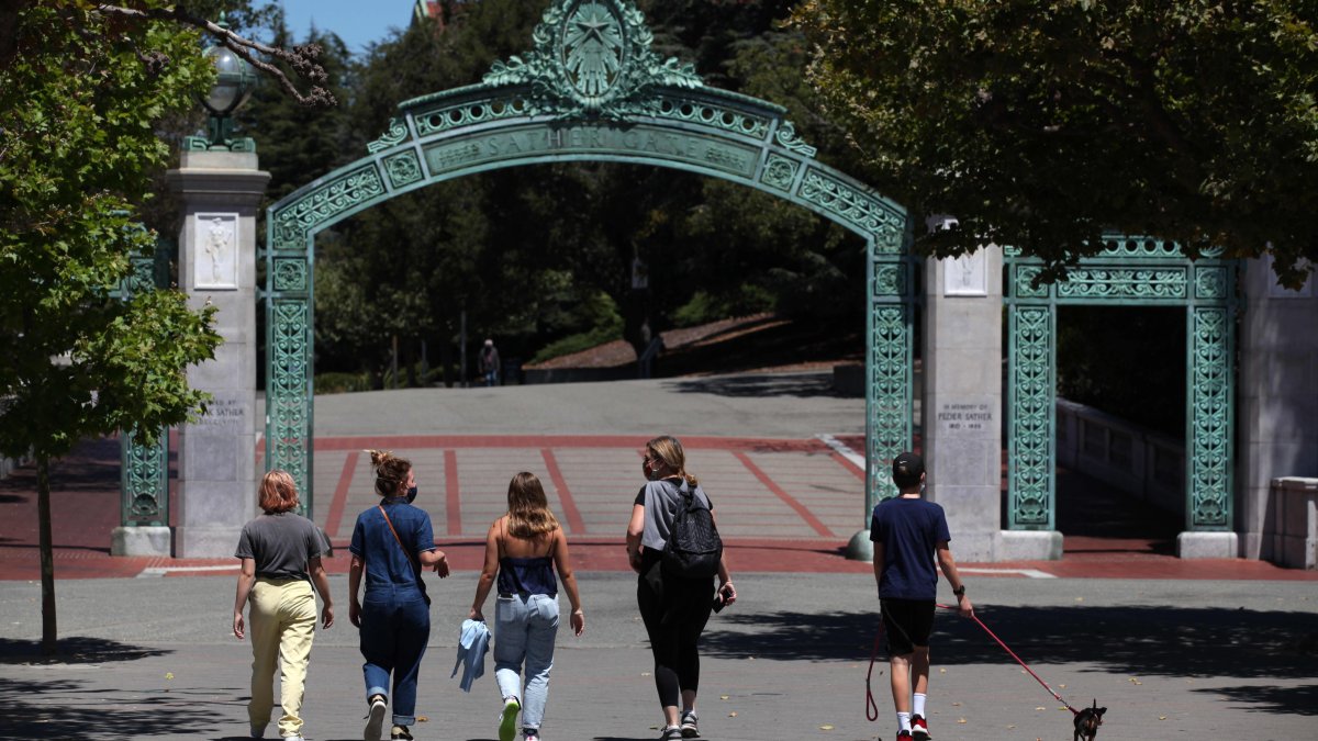 College Applications Rebounded by 22% This Year—Here's Why - Vimarsana News