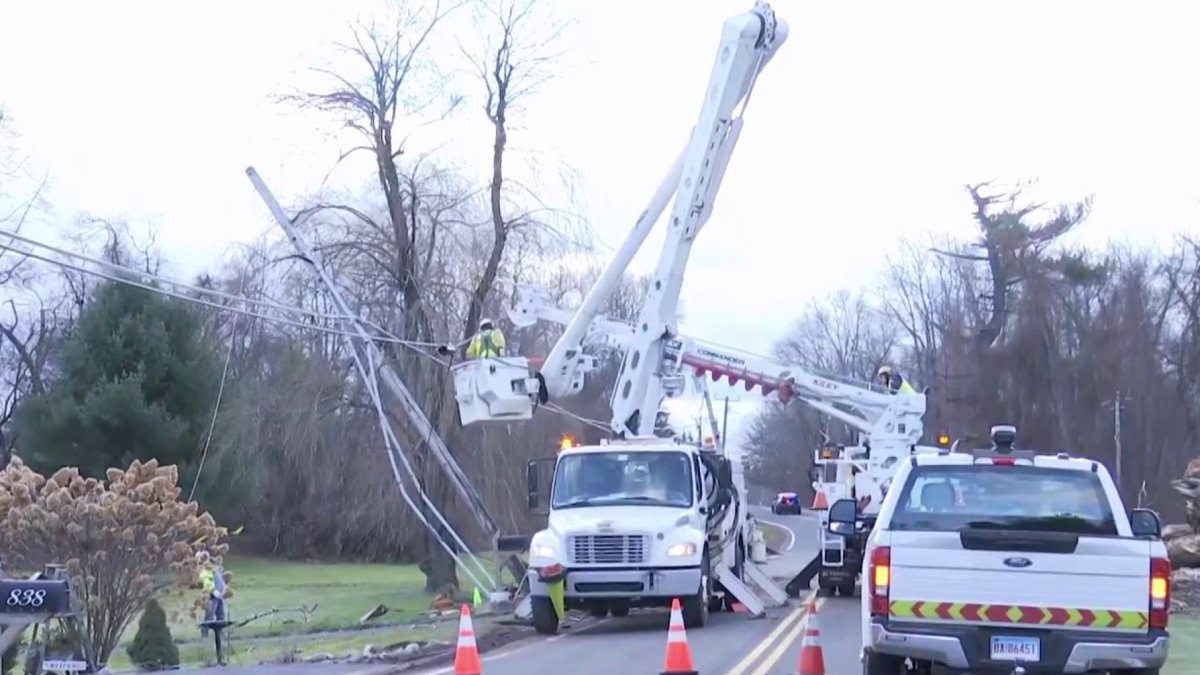 Clean Up Underway After Strong Winds, Heavy Rain Bring Down Trees ...