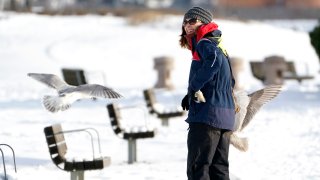 A woman turns back to eye gulls surrounding her hoping for a treat as she walks in a snow-covered park Tuesday, Dec. 28, 2021, in Bellingham, Wash.