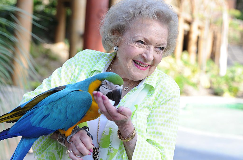 LA Zoo Honors Betty White on Her 100th Birthday – NBC Connecticut - Vimarsana News
