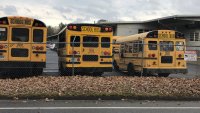 Data Gives Clues on School Bus Driver Shortage