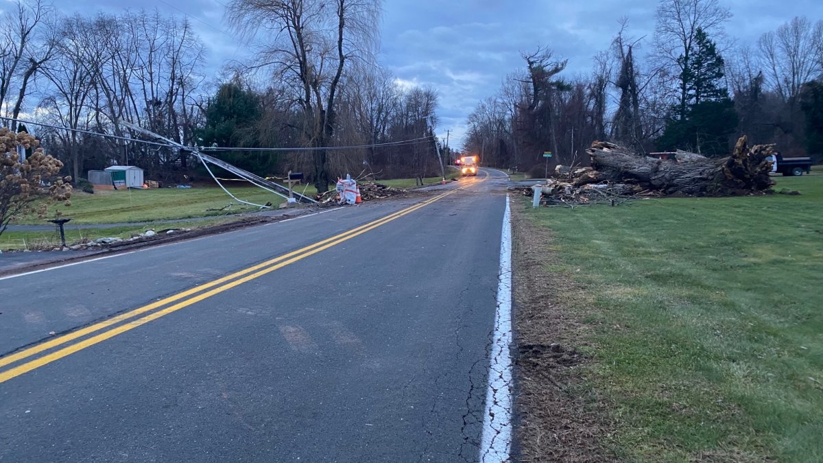 Clean Up Underway After Strong Winds, Heavy Rain Bring Down Trees – NBC ...