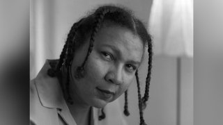 Author and cultural critic bell hooks