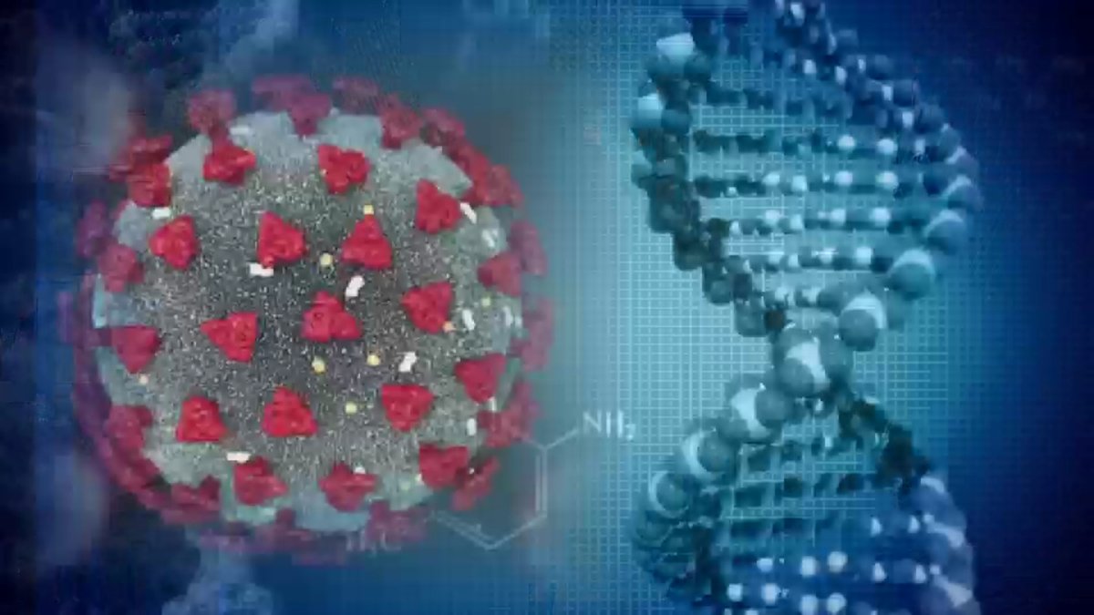 Cases of Omicron COVID-19 Variant Now at 11 in Connecticut – NBC Connecticut